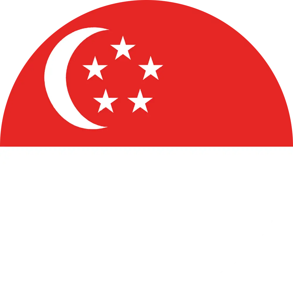 Singapore Icon